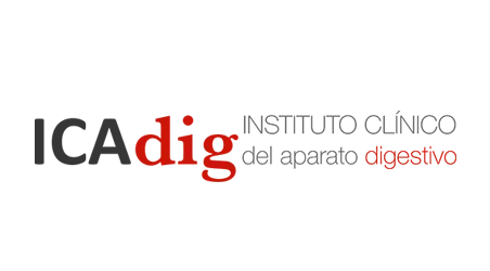 Logo Icadig